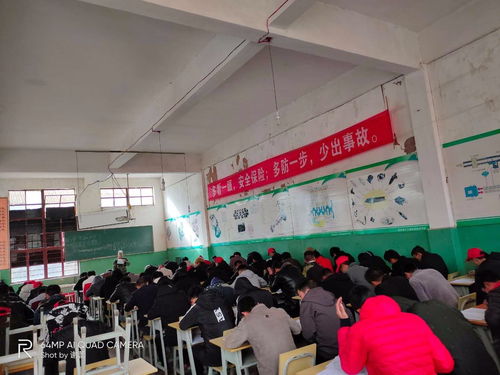 云南河口铲车培训学校十年品牌老校