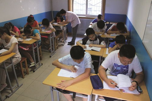 文博学校开启教育培训新模式