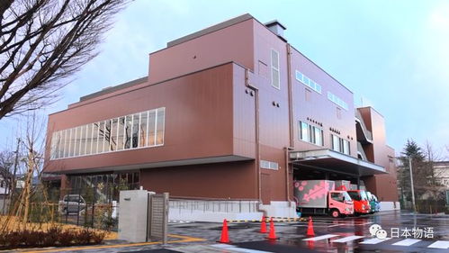 日本的孩子不吃盒饭,来看看日本的食品加工厂,是如何制作中小学生午餐的